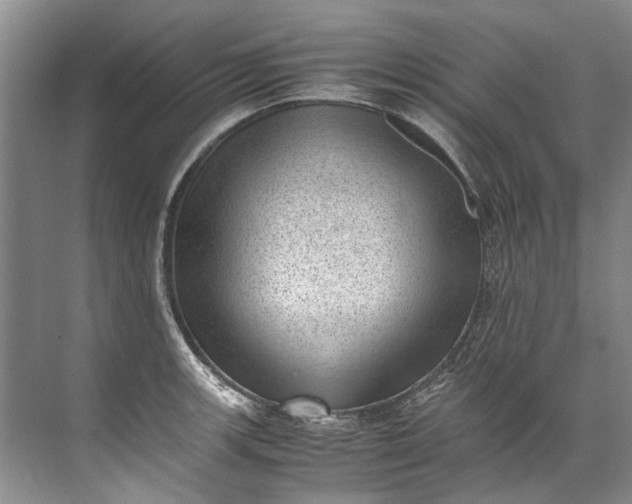 X0000072531139200607290217