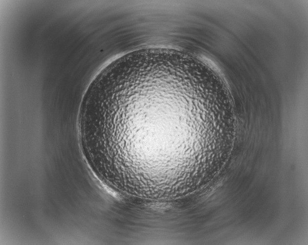 X0000072531141200607290217