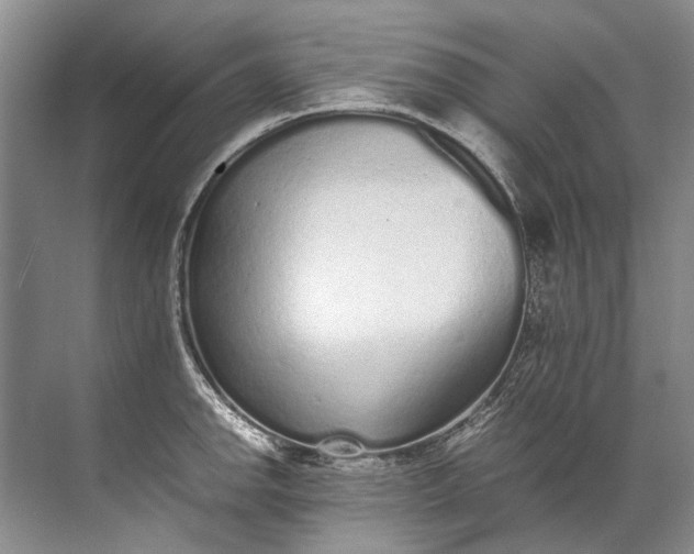 X0000072531142200607290217