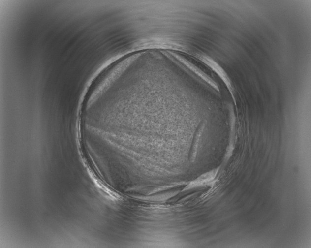 X0000072531144200607290217