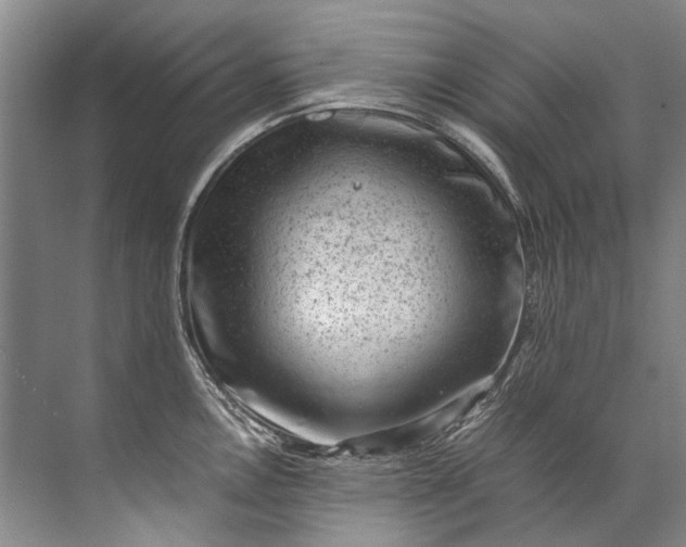 X0000072531146200607290217