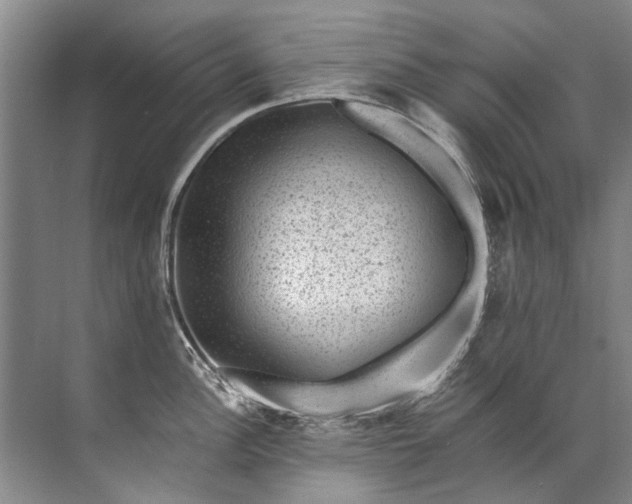 X0000072531148200607290218