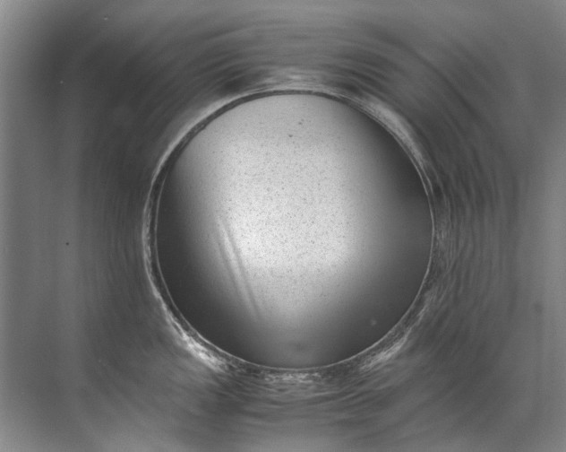 X0000072531149200607290218