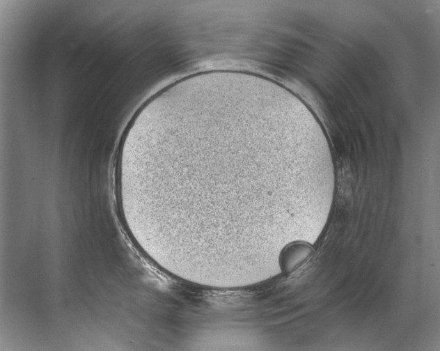 X0000072531150200607290218