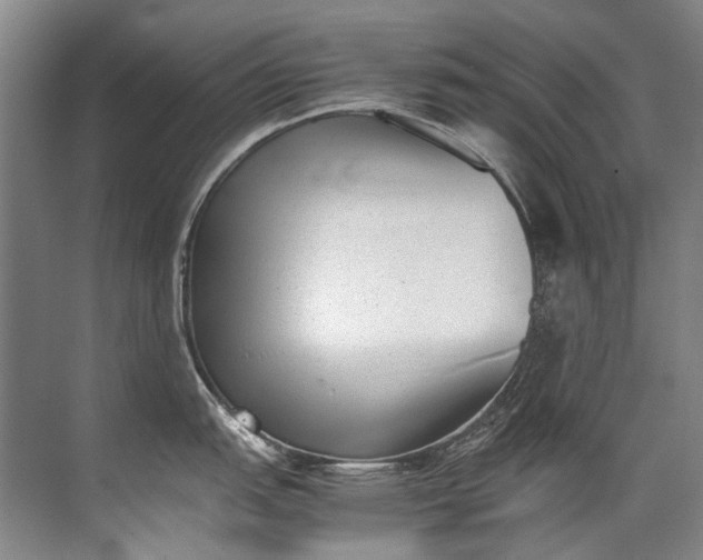 X0000072531151200607290218