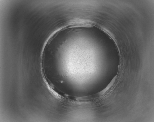 X0000072531152200607290218