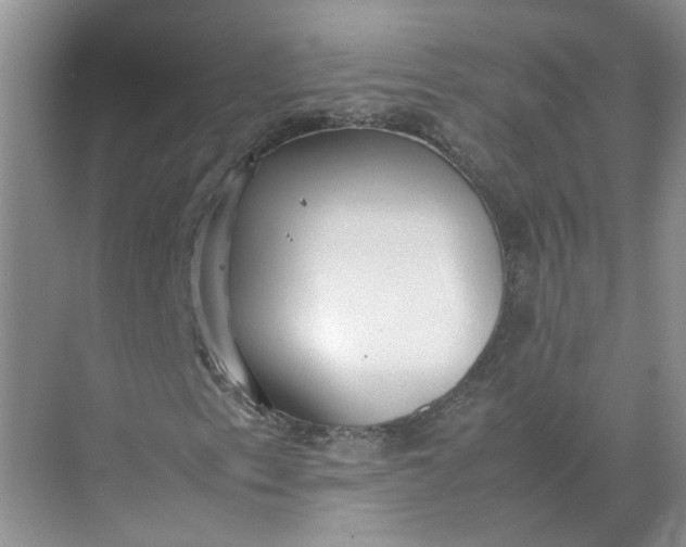 X0000072531153200607290217