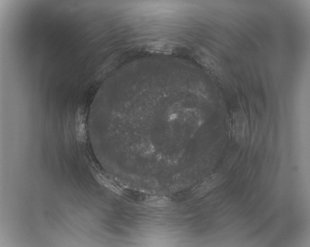 X0000072531154200607290217