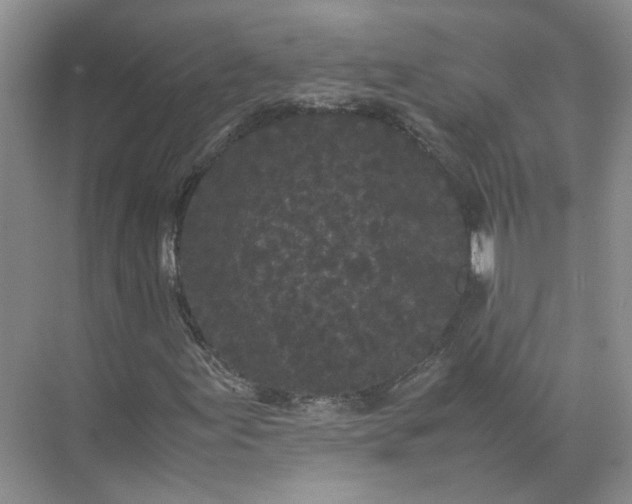 X0000072531155200607290217