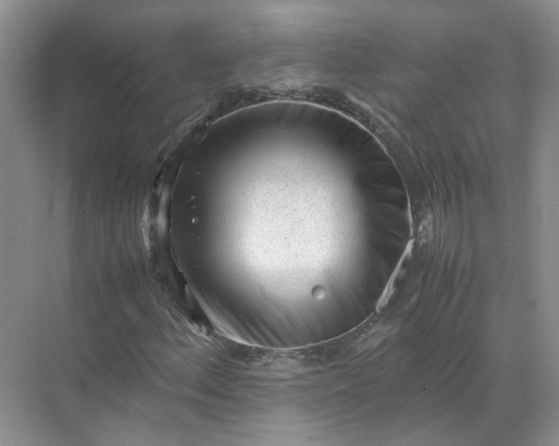 X0000072531156200607290217