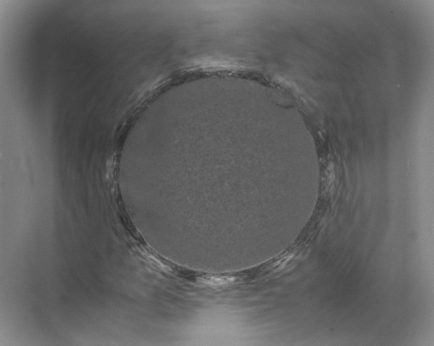 X0000072531157200607290217