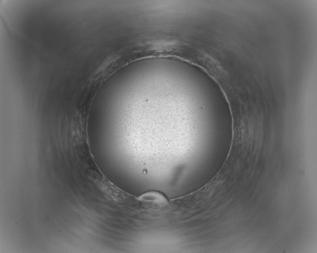 X0000072531158200607290217