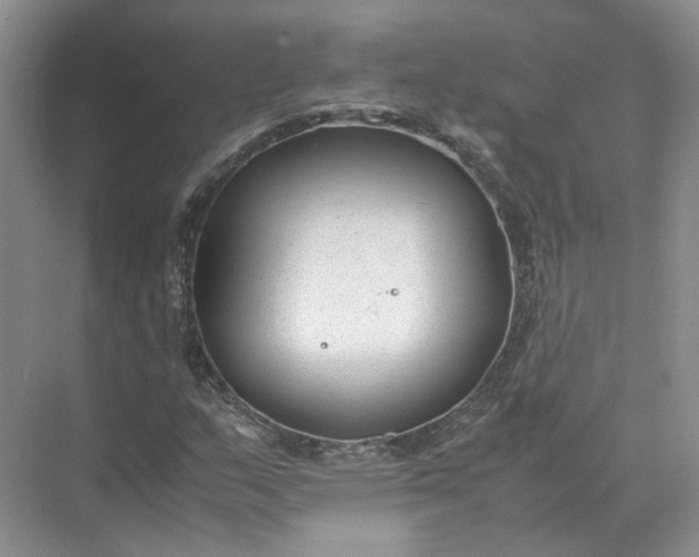 X0000072531159200607290217