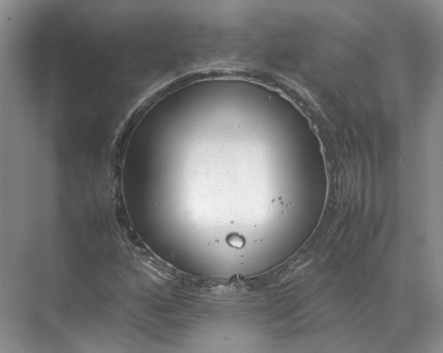 X0000072531160200607290217