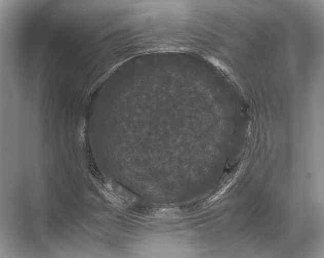 X0000072531161200607290217