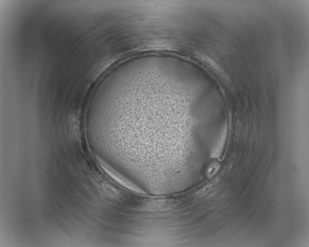 X0000072531162200607290217