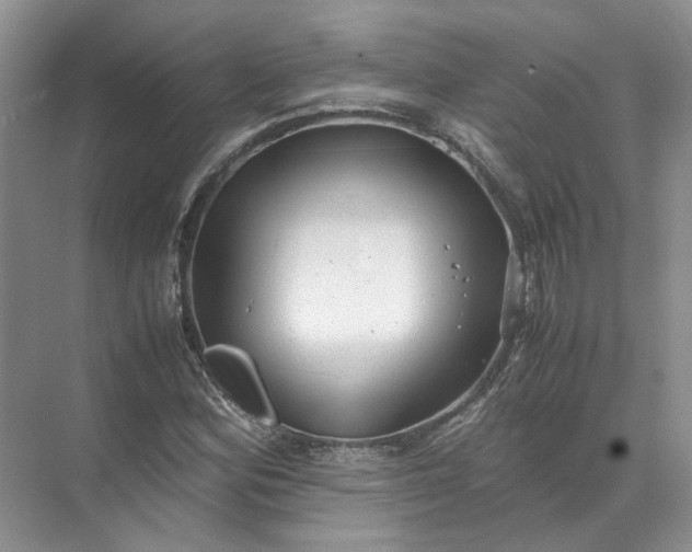 X0000072531164200607290217