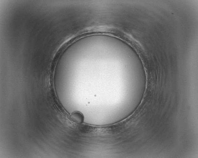 X0000072531166200607290217