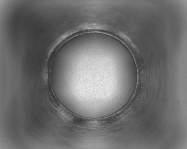 X0000072531167200607290217