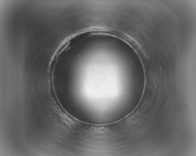 X0000072531168200607290217