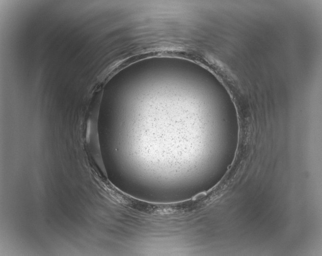 X0000072531169200607290216