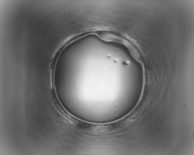 X0000072531171200607290216