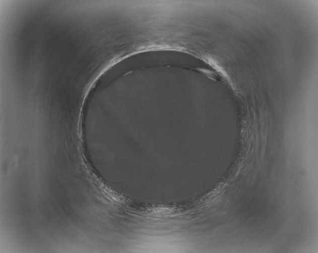 X0000072531173200607290216