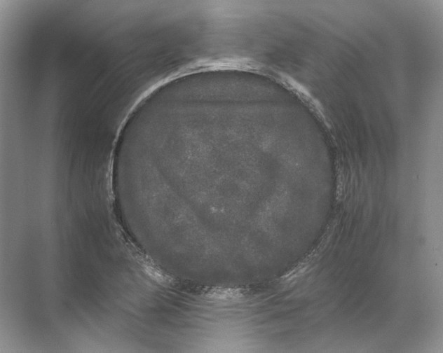 X0000072531174200607290216