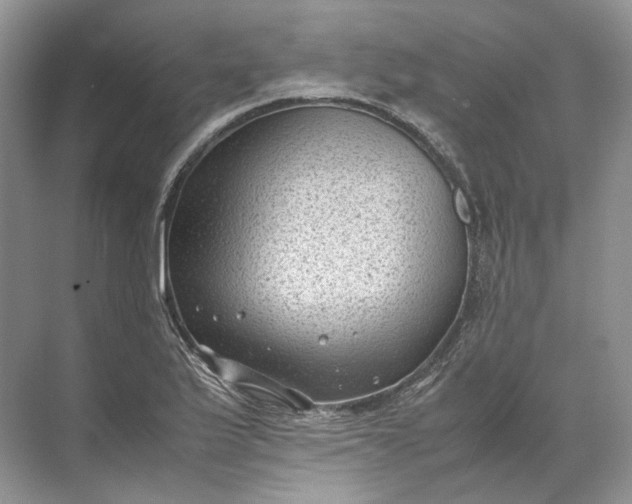 X0000072531175200607290216