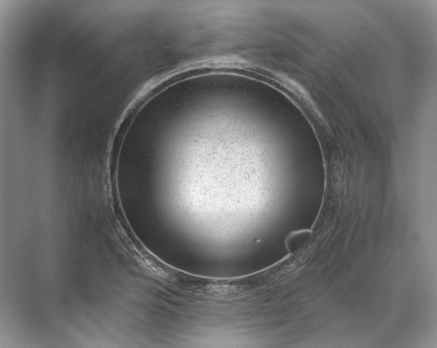 X0000072531176200607290216