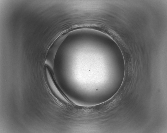 X0000072531177200607290216