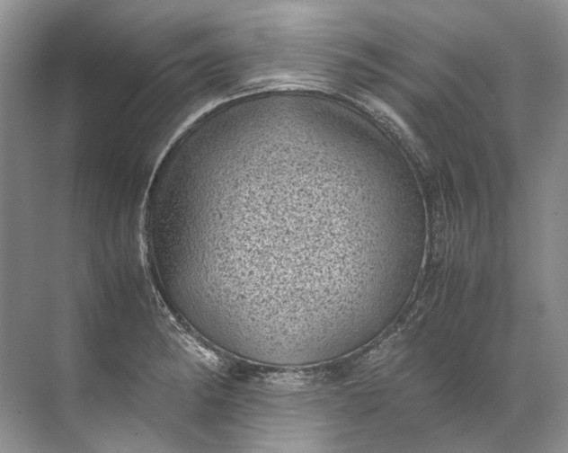 X0000072531182200607290216