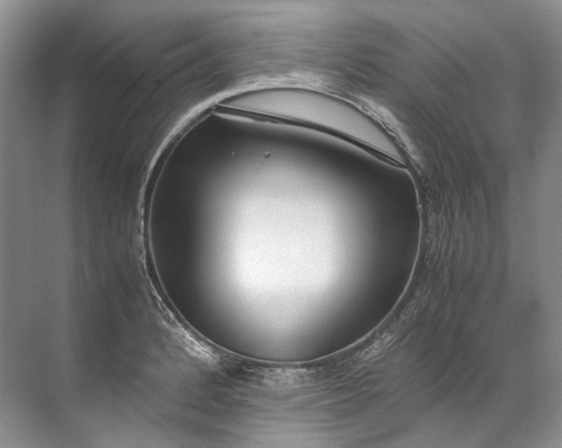 X0000072531184200607290216