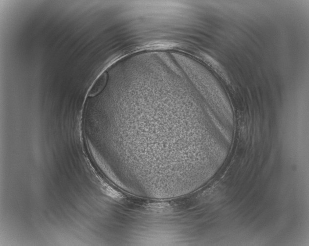 X0000072531186200607290216