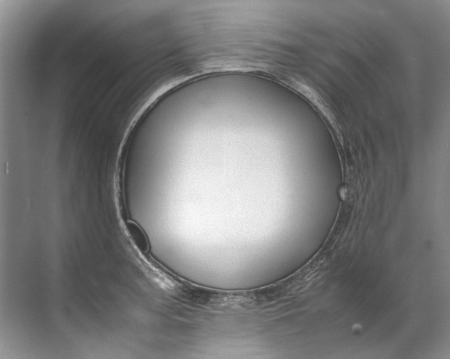 X0000072531187200607290216