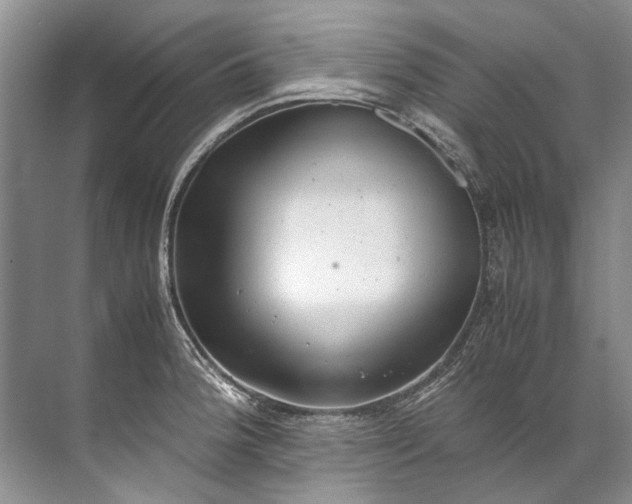 X0000072531188200607290216