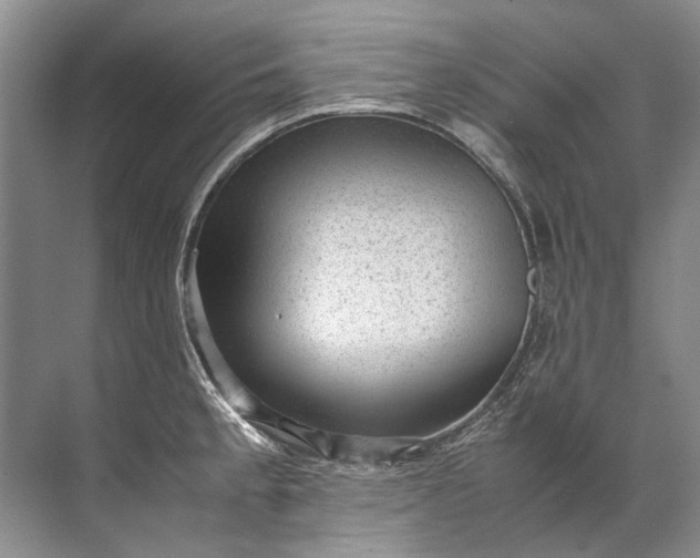 X0000072531189200607290216