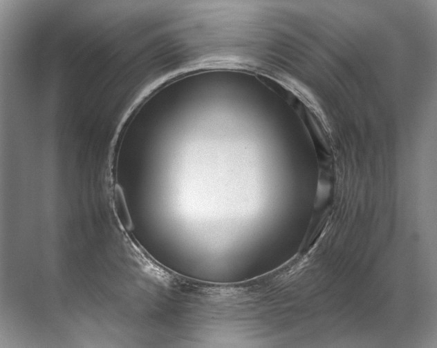 X0000072531192200607290216