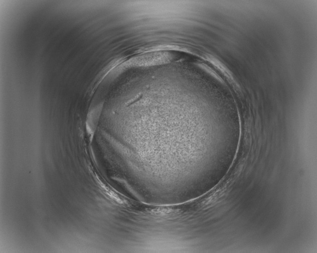 X0000072531193200607290216