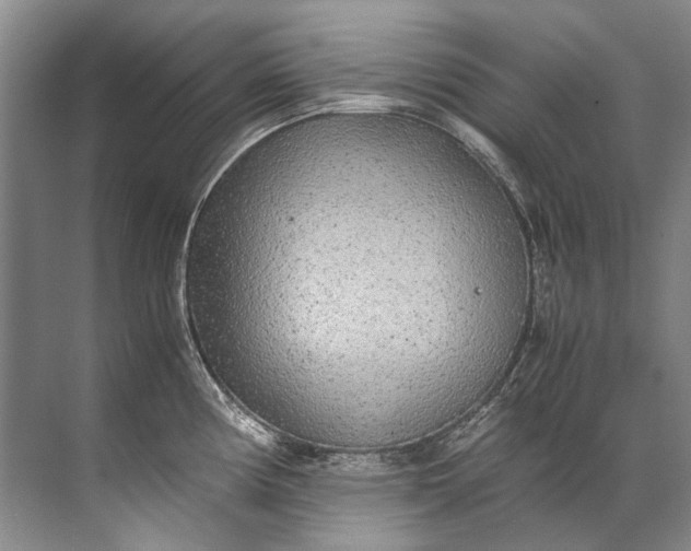 X0000072531194200607290216