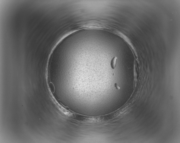 X0000072531195200607290216