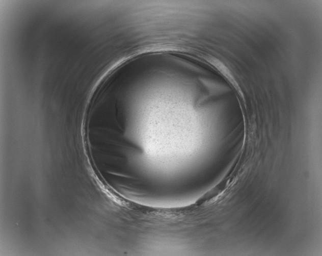 X0000072531197200607290216