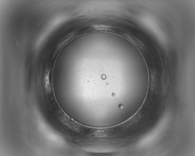 X0000072531198200607290216