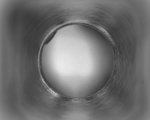 X0000072531199200607290216