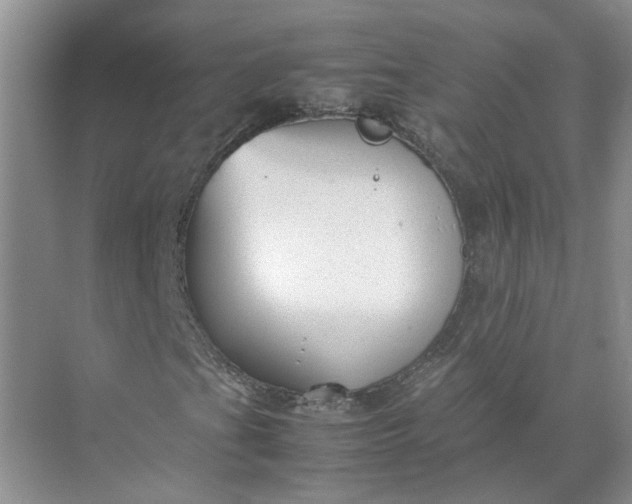 X0000072531201200607290215