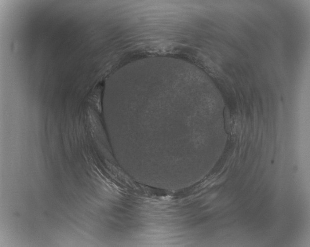 X0000072531202200607290215