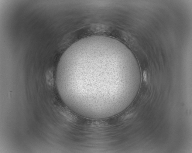 X0000072531203200607290215