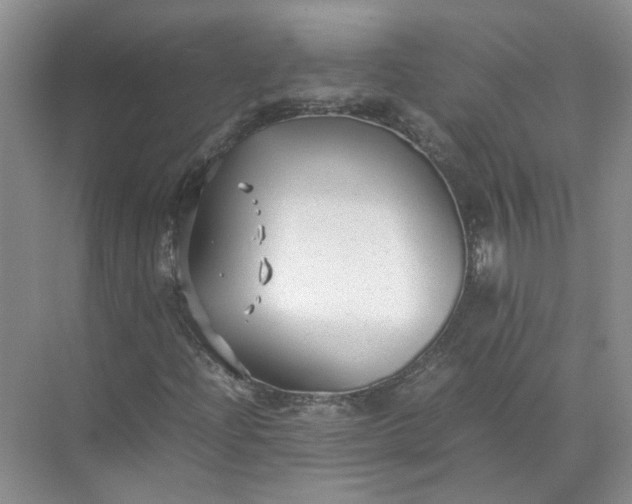 X0000072531204200607290215