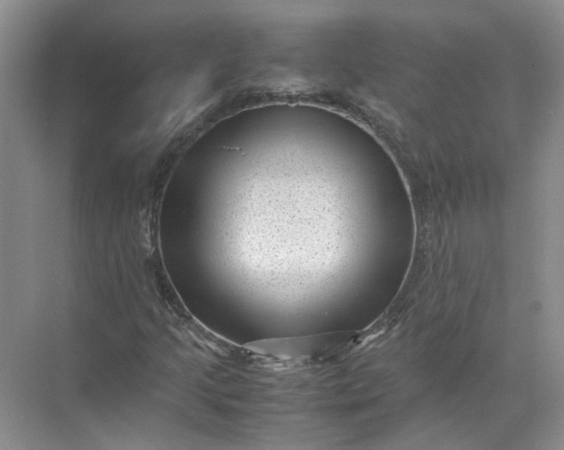 X0000072531205200607290215