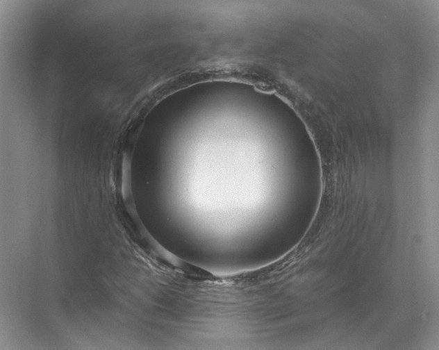 X0000072531206200607290215